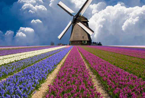 1690673783933141.png image.png