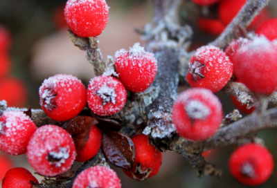 ​2023甜蜜情侣网名(102个)