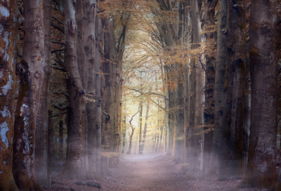 ​圣诞节QQ情侣网名(精选100个)