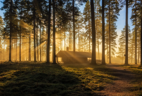 1690678113412809.png image.png