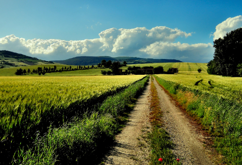 1690679445406097.png image.png