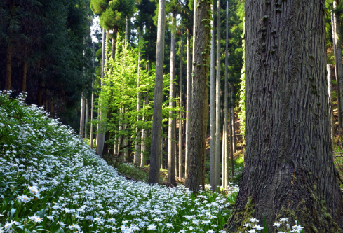 1690679778309814.png image.png