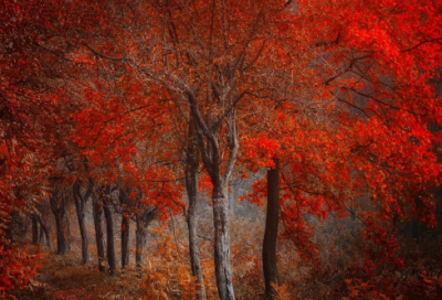 ​繁体字带符号情侣微信网名(94个)