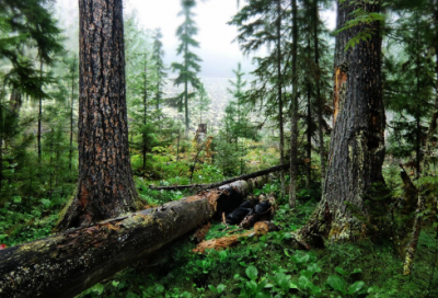 ​游戏情侣名字简短诗意(116个)