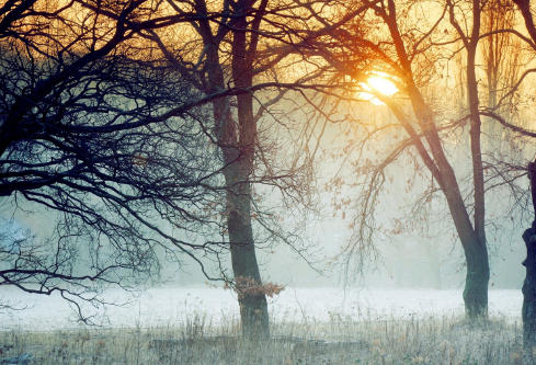 1690683110119234.png image.png