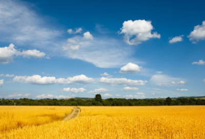 ​神都夜行录情侣名字一对(优选113个)