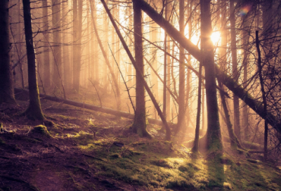 ​这个夏日超适合情侣用的网名(精选115个)