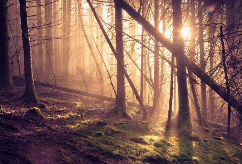 1690684608926844.png image.png