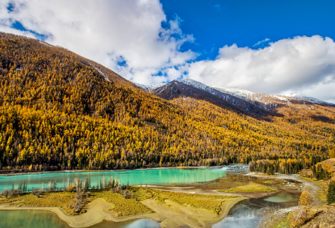 1690685447406496.png image.png