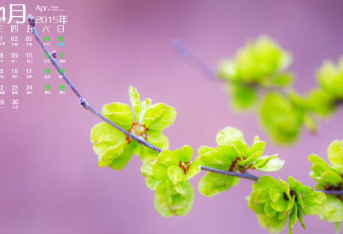 1690685946692454.png image.png