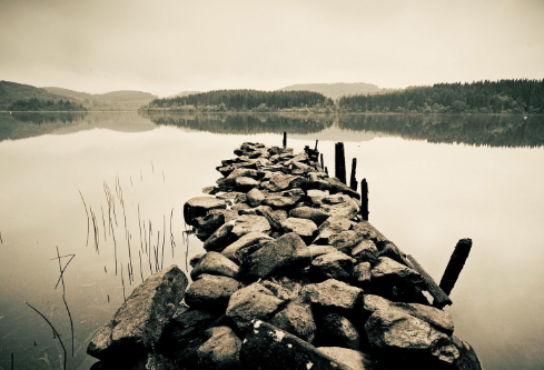 1690686445268935.png image.png