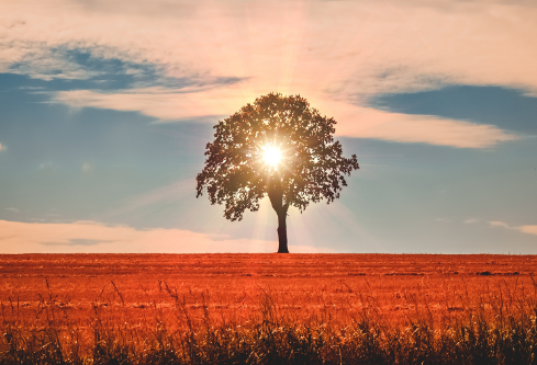 1690687443610643.png image.png