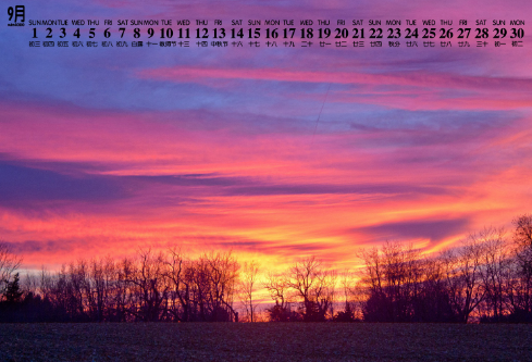 1690690939988966.png image.png