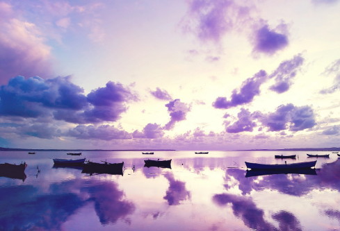 1690695432282061.png image.png