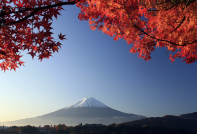 ​魔域CP情侣名字一对(共100个)