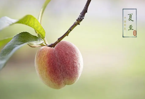 1690752141733331.png image.png