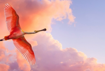 ​为人民服务教学反思