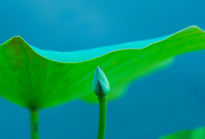 ​我有“神经病”小学想象作文