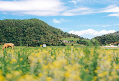 ​圆的周长教学反思