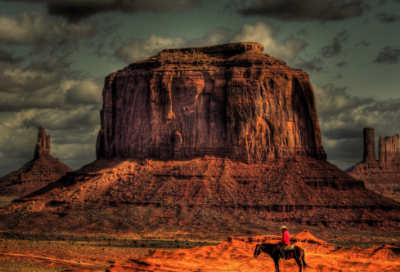 ​珍珠鸟教学反思