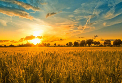 ​池子与河流150字作文