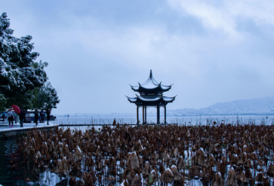 ​给白衣天使的一封信作文百字