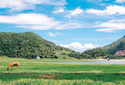 ​教学反思范文三篇