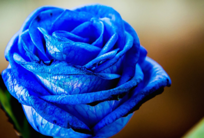 ​《最美逆行》观后感心得体会摘抄