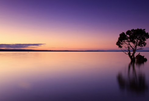 1691411818264231.png image.png