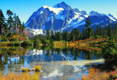 ​西游记读书心得700字