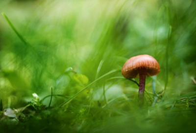 ​高校党组织战疫示范微党课第十讲观后感心得范文摘抄