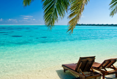 ​关于动物名片作文范文