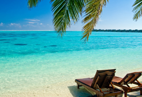 1691415800433511.png image.png