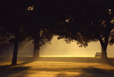 ​以金钱为话题的作文范文
