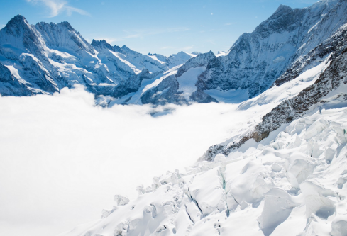 1691417292500702.png image.png