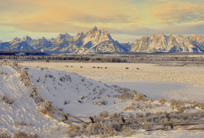 ​最开心的事作文范文