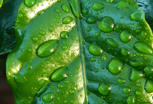 1691419614161539.png image.png