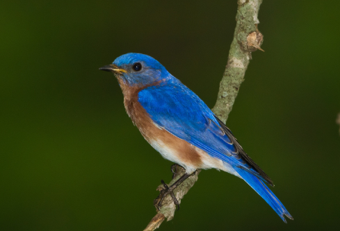 1691419780970472.png image.png