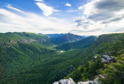 ​人与动物作文范文三篇