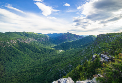 1691420112864168.png image.png