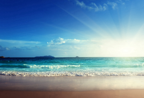 1691421771884430.png image.png