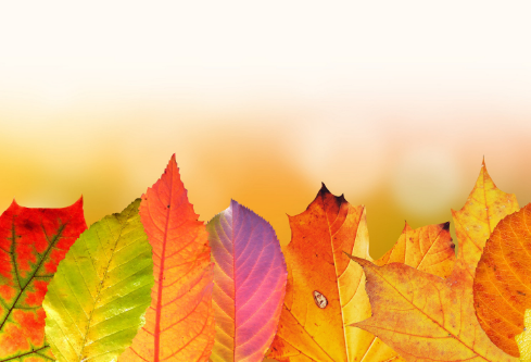 1691422434935585.png image.png