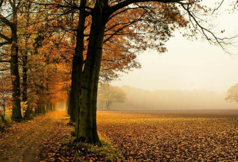 1691422933188023.png image.png