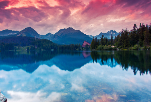 1691423265264119.png image.png