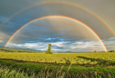 ​问号与感叹号高中作文范文