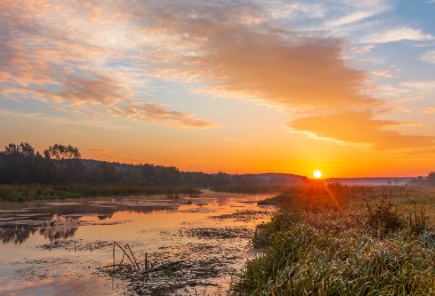 1691424260990618.png image.png