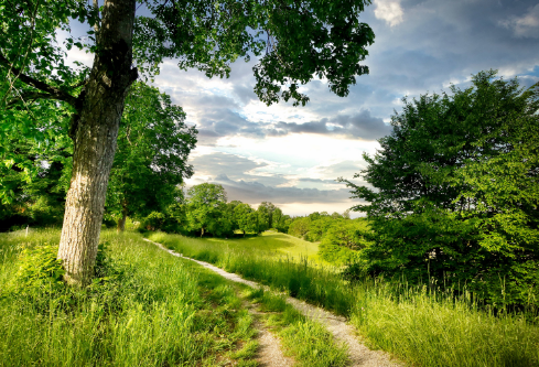 1691424425359113.png image.png