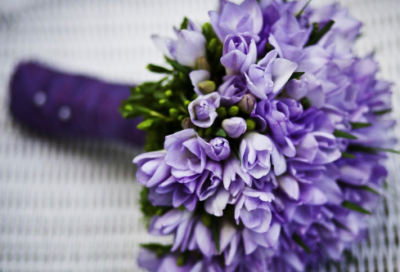 ​初中英语作文范文七篇