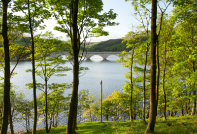 ​大学生开学军训心得作文摘抄