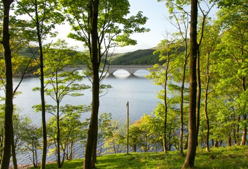 1691427412144256.png image.png